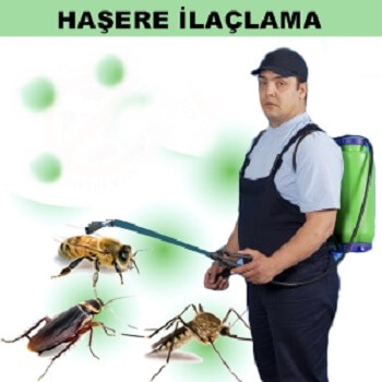 Digor Böcek İlaçlama